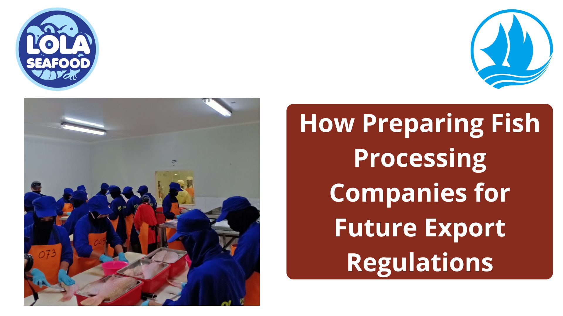  How Preparing Fish Processing Companies for Future Export Regulations